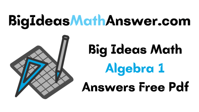 Big ideas algebra 1 answers