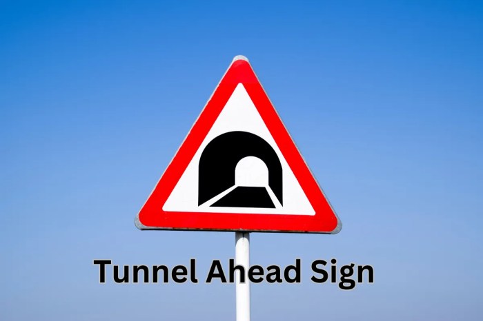 Tunnel pseudopod ahead