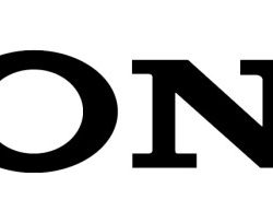 Hays v. sony corp. of america