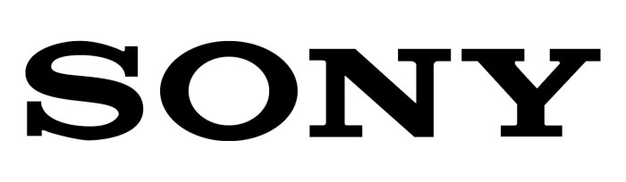 Hays v. sony corp. of america